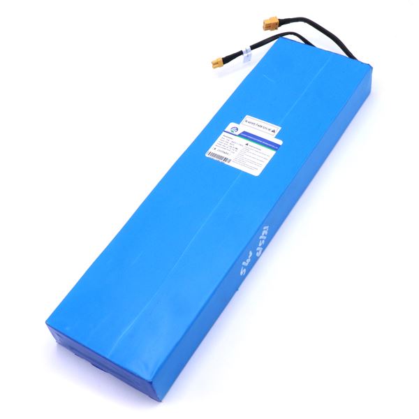 Solar E1 48V Replacement Battery